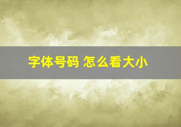 字体号码 怎么看大小